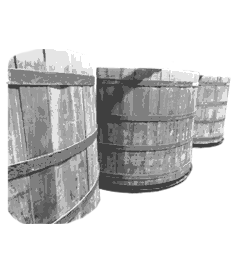 Fermentation